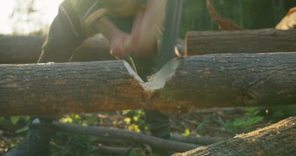 Tanınmayacak Kadar Çalışkan Gömlekli Bir Adam Ormanda Baltayla Odun Kesiyor — Stok video