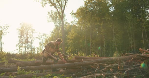 若いですハンサムなひげを生やした男森の中で斧を手に倒木の上を歩く 夏の夜だけでログスローモーションライフスタイルランナープロセス 男は木を求めて森を歩く — ストック動画