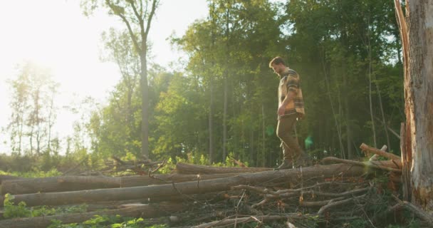 Young Happy Smiling Bearded Handsome Man Forester Walking Fallen Trees — Stock Video