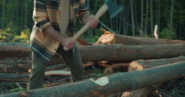 Ağacı Keskin Baltayla Kesen Aktif Bir Adam Ağır Çekim Oduncu — Stok video