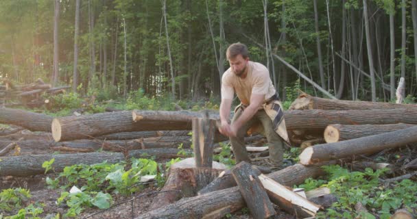 Çok Çalışkan Bir Oduncu Elinde Baltayla Tahta Bir Sopayı Kesiyor — Stok video