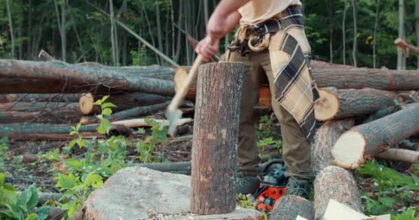 Ağaç Gövdelerini Kesen Kesen Yetenekli Oduncu Ellerinde Ağır Balta Yaz — Stok video