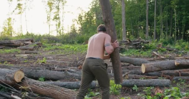 Tişörtsüz Kaslı Adam Kütük Taşıyor Yaz Günü Ormanda Yere Atıyor — Stok video