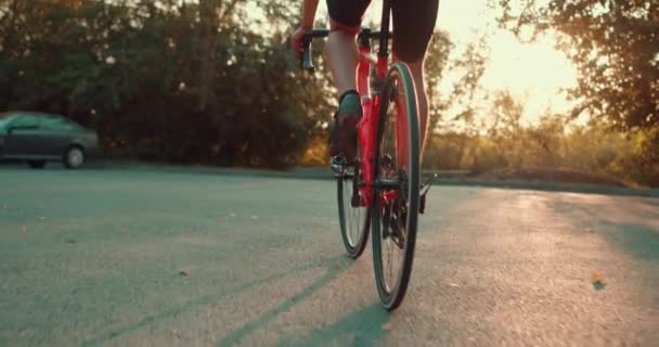 Homme Fait Vélo Sur Route Caméra Suit Par Derrière Porte — Video