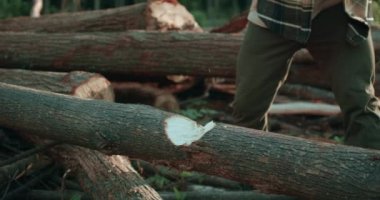 Ormanda baltayla odun kesen tanınmamış bir adam, yeşil çimenlerin üzerinde bir sürü kütük, kesilmiş portre parçalarını yavaş çekimde uçuran bir adam. Yaz mevsiminde ağaç kesen adam.