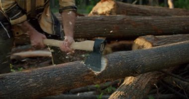 Yakın plan video Lamberman yazın ormanda odun kesiyor. Ormancılık işe yarıyor. Tahta işi, kesim. Akşamları dışarıda çalışan tanınmayan yetenekli bir erkek. Tahta kesme, marangozluk ağır çekim