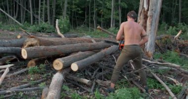 Geri ender görülür üstsüz seksi ormancı oduncuya odun keserek odunları küçük parçalara ayırır.