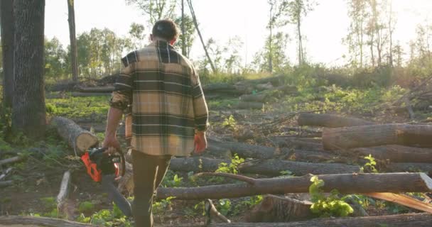 Barbudo Forestal Caminando Entre Árboles Caídos Troncos Madera Yendo Cortarlos — Vídeo de stock