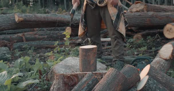 Güçlü Kaslı Adam Yazın Ormanda Odun Stoklarını Isıtmak Için Baltayla — Stok video