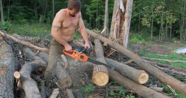 Sexy Handsome Lumberjack Holds Chainsaw His Hands Cuts Tree Stumps — Stock Video