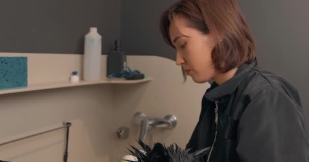 Güzeller Güzeli Esmer Kadın Kuaförde Evcil Hayvan Yıkıyor Yavaş Çekim — Stok video