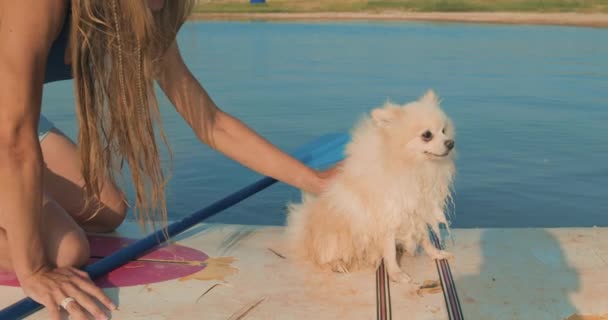 Genç Bir Kadın Beyaz Tüylü Köpeğiyle Birlikte Tatilde Bir Yemek — Stok video
