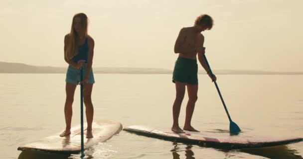 저녁해 호수에서 스탠드업 보드를 남녀가 스포츠를 있습니다 Suv 서핑보드에 선수들 — 비디오
