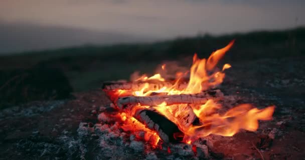 Tábortűz Egy Nemzeti Parkban Éjszakai Tábortűz Hegyi Folyónál Ködös Esti — Stock videók