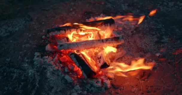 Tábortűz Hegyen Esténként Lángoló Tábortűz Kandalló Nature Lassú Mozgásban Gyönyörű — Stock videók