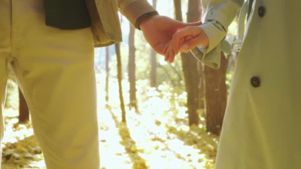 Sonbaharda Parkta Ele Tutuşarak Yürüyen Genç Sevimli Bir Çift Birbirine — Stok video