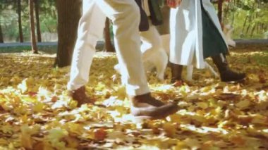 Genç bir adam, kadın ve oğlu güneşli bir günde ormanda yürüyorlar. Yavaş çekim, doğanın tadını çıkaran bir köpek. Sahipleri Akita Inu 'da yürüyor.