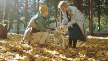 Akita inu 'lu sevimli Avrupalı aile parkta yürürken, sonbahar sezonunda, çekici kadın, yakışıklı çocuk ve evcil hayvanıyla eğleniyor, eğleniyor, pozitif deneyimler yaşıyor.