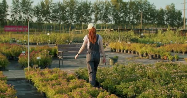 Geri Ender Görülen Genç Kızıl Saçlı Çalışkan Çiçekçi Sera Portakallık — Stok video