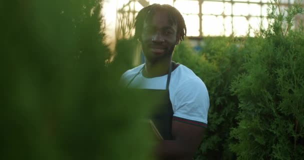 Guapo Afroamericano Barbudo Jardinero Sosteniendo Portátil Pie Invernadero Cámara Lenta — Vídeo de stock