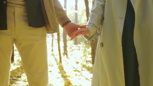 Liebendes Junges Romantisches Paar Händchenhaltend Sonnigen Herbsttag Entlang Der Strecke — Stockvideo