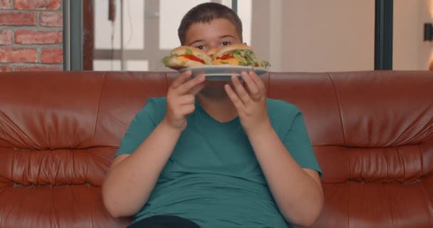 Overweight Fat Boy Sitting Sofa Eating Unhealthy Burgers Holdig Plate — Stock Video