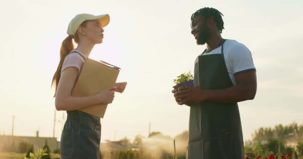 Dxiverse Blandras Par Arbetare Som Arbetar Tillsammans Övervakar Odling Växter — Stockvideo