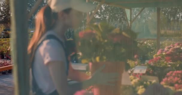 ジンジャー素晴らしい花屋を選択する花を販売するスローモーションガール店で花のポットを削除 — ストック動画