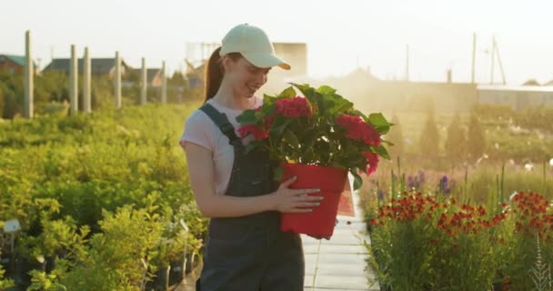 Sonriendo Hermosa Agricultora Jarderner Disfruta Trabajo Mirando Flores Con Placer — Vídeos de Stock
