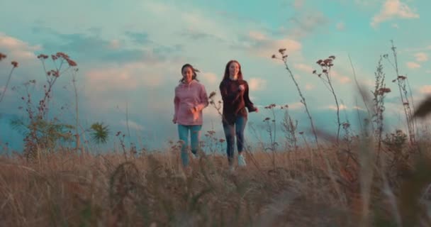 Meninas Felizes Cabelos Vermelhos Morena Viajando Campo Ambiciosas Motivadas Mulheres — Vídeo de Stock