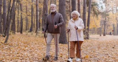 Aktif hırslı yaşlı insanlar parka spor yapmaya gider, İskandinav yürüyüş direklerini kullanırlar, büyükanneleriyle büyükbabaları sohbet ederler, yavaş çekimde sohbet ederler, yaşlı adam ve kadın ormanda gezinirler.