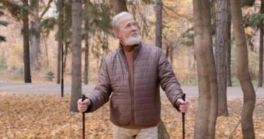 İskandinav bastonlu aktif yakışıklı yaşlı adam altın sezonun güzelliğinden zevk alıyor. Kıdemli adam İskandinav yürüyüşü sağlıklı yaşam tarzı konseptiyle meşgul. Yavaş çekim hobi