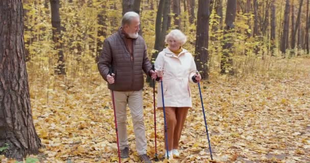 스포츠 행복한 오래된 은퇴자는 가을에 공원에서 북유럽 산책을 있습니다 로맨틱 — 비디오