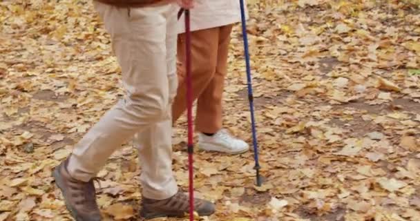 Жіночі Чоловічі Ноги Йдуть Стежкою Дорога Жовтим Опалим Листям Пара — стокове відео