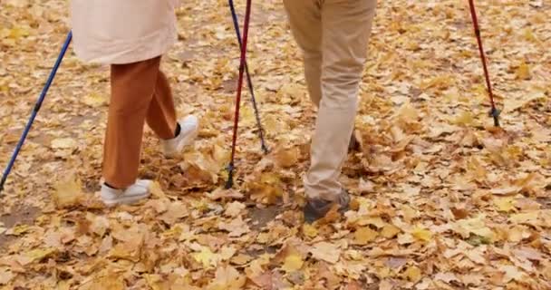 Viejo Abuelo Abuela Dedican Caminar Nórdico Susurro Hojas Otoño Bajo — Vídeos de Stock