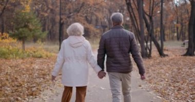 Gri saçlı yaşlı adam ve kadın sağlıkla ilgilenir, güzel manzaranın tadını çıkarırlar, sonbaharda doğa, ender görülen yavaş çekim. Yaşlı çiftin el ele tutuşması, yaşlılık kavramı.
