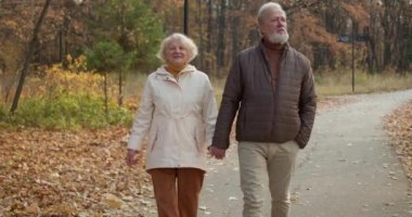 Sonbaharda güzel bir parkta birlikte yürüyen ve el ele tutuşan Kafkasyalı mutlu bir çift. Ağır çekim. Yaşlı insanların bir randevusu var, ormanda geziniyorlar Yaşam tarzı Aşk İlişkisi