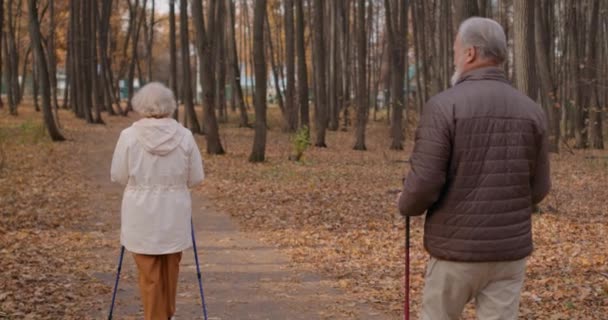 Hırslı Yaşlı Bir Çift Yeni Yerler Keşfediyor Yerel Parkı Geziyor — Stok video