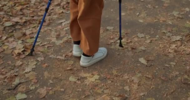 Parkta Yürüyen Yaşlı Kadın Bacakları Yakın Çekim Yavaş Çekim Tedavi — Stok video