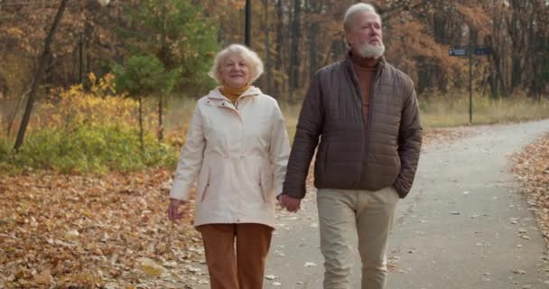 秋の美しい公園で一緒に歩き 手元に保持するコーカサス古い幸せなカップル スローモーション 古い人々は 森のライフスタイルの愛の関係を散歩するデートを持っています — ストック動画