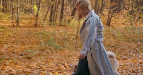 Wanita Cantik Positif Bergaya Dalam Mantel Berjalan Dengan Anjing Akita — Stok Video