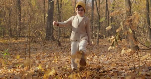 Slow Motion Video Cute Adorable Child Boy Plays Fallen Leaves — стоковое видео