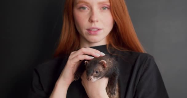 红头发的欧洲女人摆出一副可爱的黑色雪貂的样子 被隔离在黑色背景的工作室里 主人手里拿着可爱的家畜 动物和人的概念 慢动作 — 图库视频影像