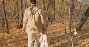 Yürüyüşçüler anne baba oğul ve Akita inu köpek harika altın parkı keşfederler macera, yavaş çekim geri dönüş, nadir manzara. Aile parkta toplanıyor, çift ve çocuk yeni yerler keşfediyor.