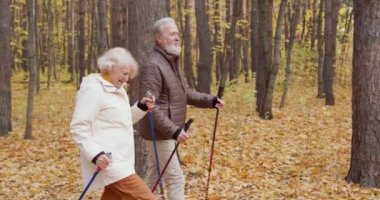 Mutlu, çekici, yaşlı çift İskandinav yürüyüşü yapıyor sonbahar doğa parkına, ormana gidiyorlar. Emeklilik süresince aktif yaşlı insanlar kavramı. Yaş sınırlaması olmayan günlük eğlence yaşam tarzı.