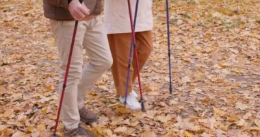 Olgun kadın ve yaşlı adam renkli bir sonbahar parkında dinleniyor. Altın sezon Ağır çekim, kıdemli çift sonbaharda dışarıda spor yapıyor.