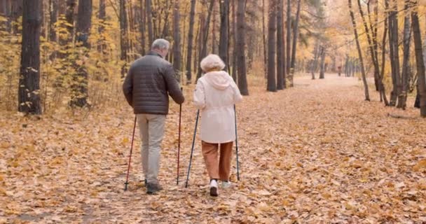 Старенька Жінка Пенсії Отримує Задоволення Від Ходьби Парку Восени Старша — стокове відео