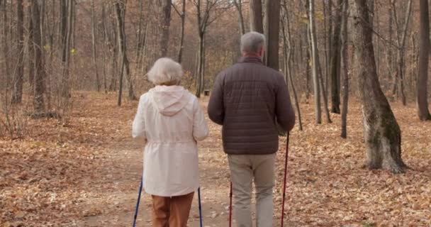 Äldre Människor Gör Sport För Att Förebygga Och Behandla Osteoporos — Stockvideo