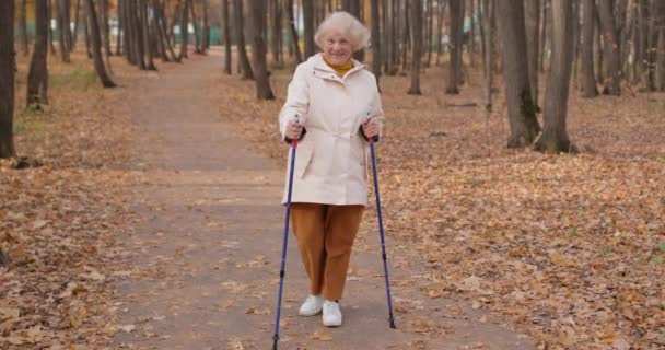 Anciana Positiva Disfrutar Vida Felicidad Señora Para Parque Mirando Hacia — Vídeos de Stock