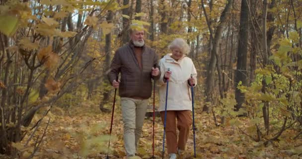 アクティブな野心的な古いカップルは自然の中でリラックスし スローモーションポジティブなシニアマンと女性は新鮮な空気 リラクゼーション 休息ハッピーバケーション ハイキングからエネルギーを得る — ストック動画